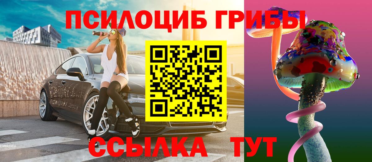 Бирск  Псилоцибиновые грибы Psilocybe  Вход с VPN  Псилоцибиновые грибы Psilocybe 